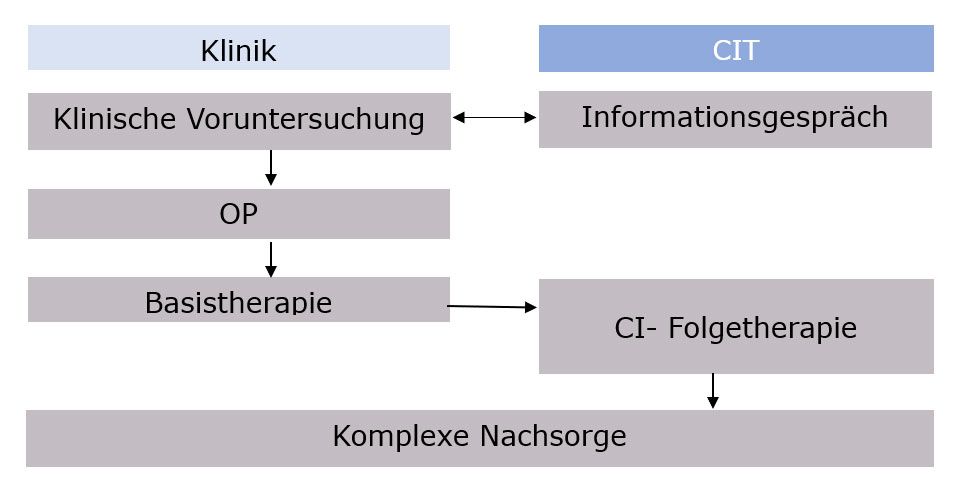 CI-Rehabilitation der Audio Reha Mitteldeutschland - ihr Weg zum und mit dem Cochlear-Implantat